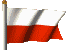 belarus flag